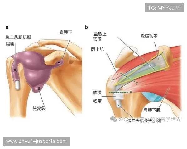 穆迪伤情深度解析髌骨脱位及多条韧带损伤的潜在影响