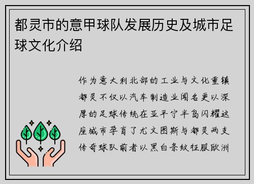 都灵市的意甲球队发展历史及城市足球文化介绍